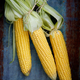 Image for article titled The Main Ingredient